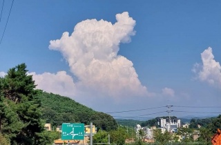 바람의속삭임 이미지